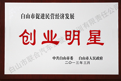 白山市促進(jìn)民營(yíng)經(jīng)濟(jì)發(fā)展企業(yè)明星